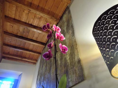 a vase with pink flowers in a room at Al Cardinale in Viterbo