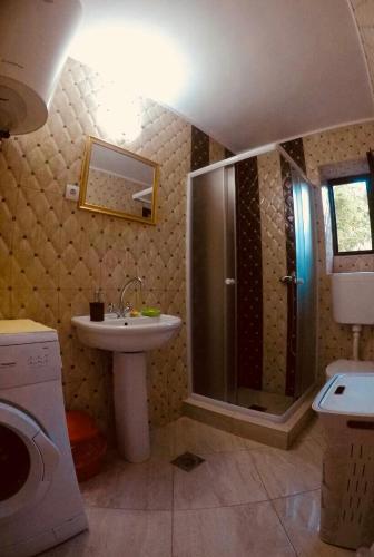 a bathroom with a shower and a sink at Apartments Vido in Kotor
