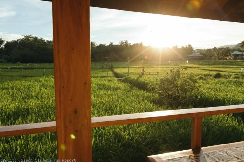 einen Blick auf ein Grasfeld mit Sonnenuntergang in der Unterkunft Guerrera Rice Paddy Villas in Mambajao