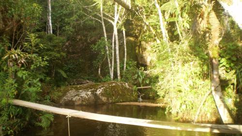 a bridge over a stream in a forest at Chales Bamboo Jungle in Petrópolis
