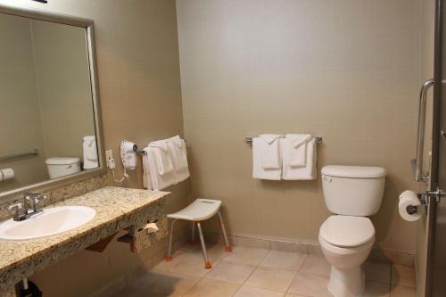 a bathroom with a toilet and a sink and a mirror at Best Western King George Inn & Suites in Surrey