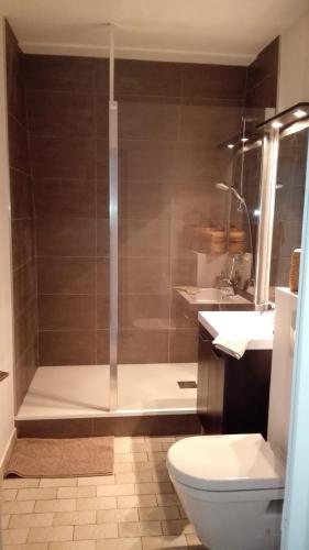 une salle de bain avec une douche, des toilettes et un lavabo dans l'établissement Les Doctrinaires, à Brive-la-Gaillarde