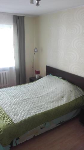 een slaapkamer met een bed in een kamer bij Butas Vilniaus alėjoje in Druskininkai