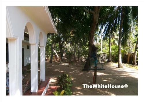 a white house with a tree in front of it at The White House in Trincomalee