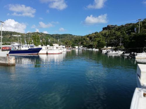 a group of boats are docked in a harbor at Villa Anse Goeland in Rodrigues Island