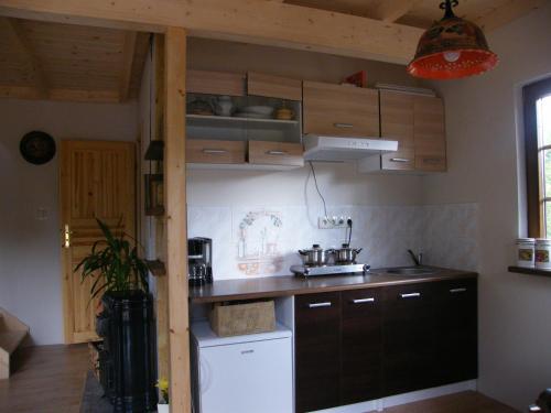 a kitchen with wooden cabinets and a counter top at Dom WIKTOR Kaszuby do 5 os. in Olpuch