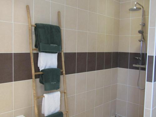 ClermontにあるGîte de Marcadéのバスルーム(シャワー、タオル掛け付)