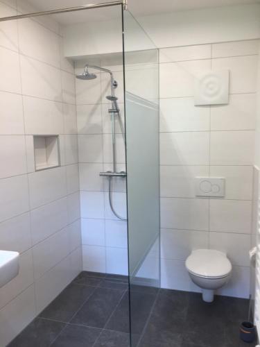 a bathroom with a shower and a toilet at Ferienwohnung Payr in Patergassen