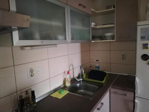 Kuchyň nebo kuchyňský kout v ubytování Apartment Cerasus