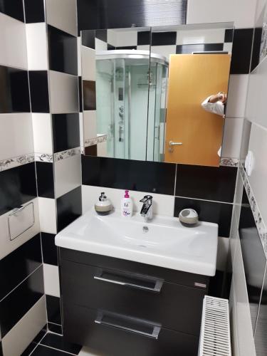 y baño con lavabo y espejo. en Cabana Vânătorilor din Valiug, en Văliug