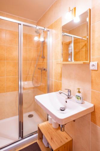 a bathroom with a sink and a shower at S4 Resort Kouty in Loučná nad Desnou