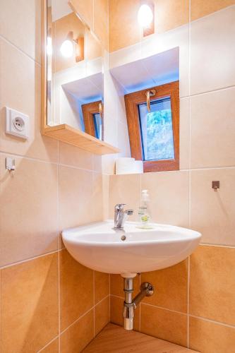 a bathroom with a sink and a mirror at S4 Resort Kouty in Loučná nad Desnou