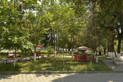Zahrada ubytování Tamaris-home