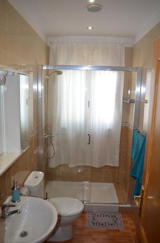 a bathroom with a shower and a toilet and a sink at VV Sarmiento in Vecindario