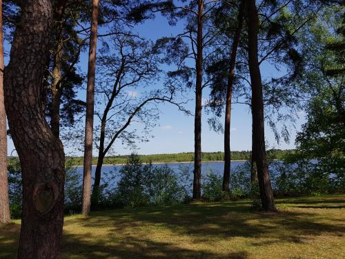 a view of a lake through a group of trees at Ferienpark am Glubigsee in Wendisch Rietz