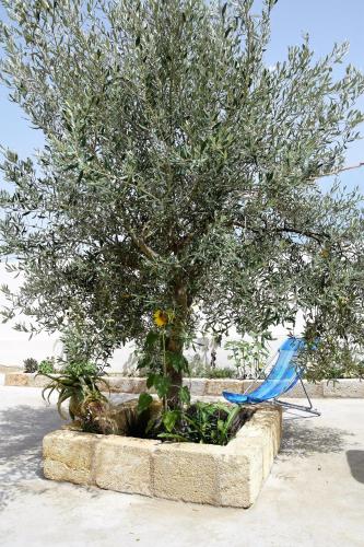 a blue bird standing next to a tree at Casa le Gebbie in Marzamemi