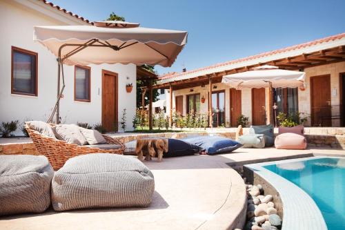 a dog is standing next to a swimming pool at Casa Afytos - Adults Only in Afitos