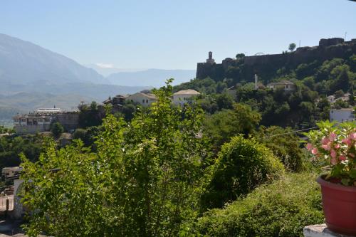 a view of a town from a hill with a plant at Guesthouse Mele in Gjirokastër