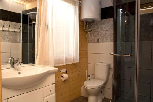a bathroom with a toilet and a sink and a shower at Domki Pod Sosnami in Rowy