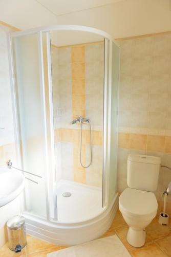 a bathroom with a shower with a toilet and a sink at Žltý Dom in Terchová