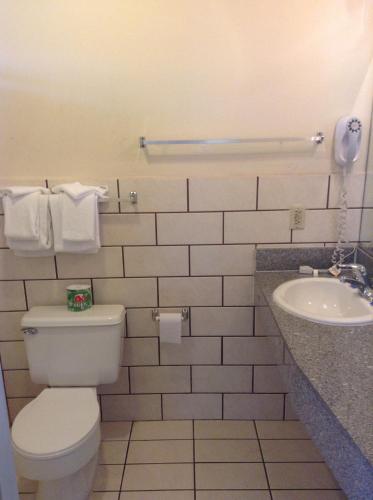 a bathroom with a toilet and a sink at Big A Motel in Orange