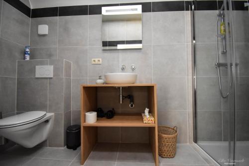 a bathroom with a toilet and a sink and a shower at B&B De Bloesem in Hoeselt