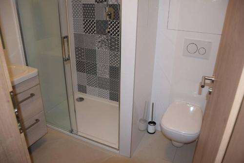 La salle de bains blanche est pourvue d'une douche et de toilettes. dans l'établissement Apartmán Dolní Morava, à Dolní Morava