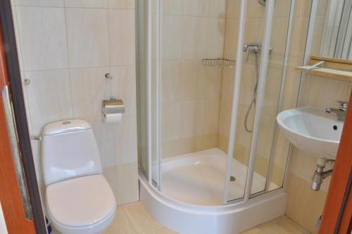 a bathroom with a shower and a toilet and a sink at Ambasador Villa, 150m do plaży, przy Centrum in Mielno
