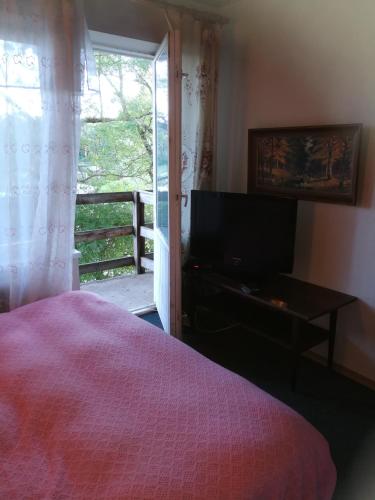 a bedroom with a bed and a television and a balcony at Upmaļi in Tērvete