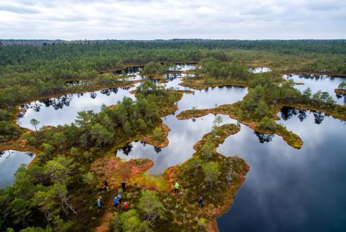 an island in the middle of a body of water at Villa Pillapalu in Pillapalu