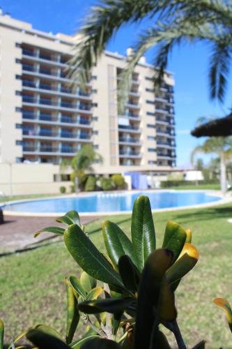 Sol y playa