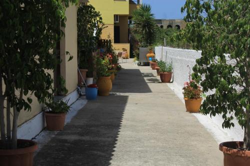 a sidewalk with potted plants on the side of a building at Chrysanthi Melitsa apts. in Sidari