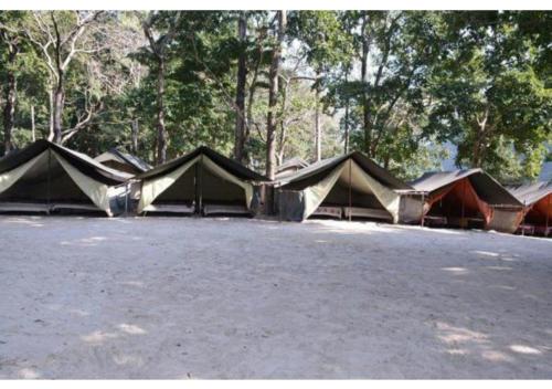 Shivpuri的住宿－Ubud Riverside Camps，一群在林地的停车场的帐篷