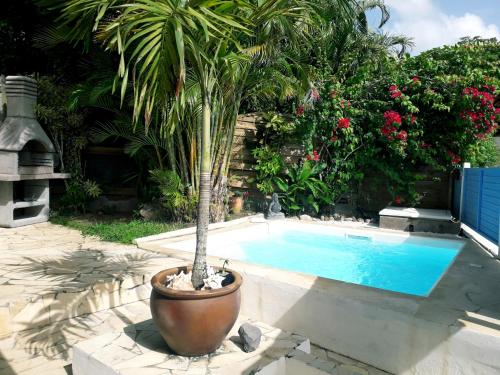 a palm tree in a large pot next to a swimming pool at Villa BonBon Siwo in Le Diamant
