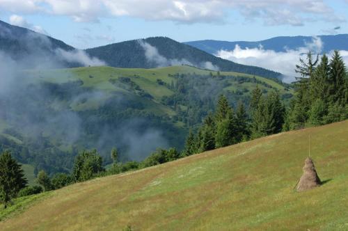 a grassy hill with a rock on top of it at Kamyanka in Mizhhirʼʼya