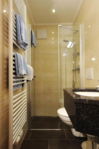 Un baño con ducha, inodoro y lavabo. en Hocheck, en Altmünster