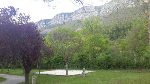a park with trees and a mountain in the background at Camping du lac in Saint-Julien-du-Verdon