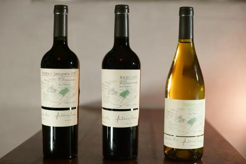 drei Flaschen Wein auf dem Tisch in der Unterkunft Cepas de Mar Resort & Wine in Las Gaviotas