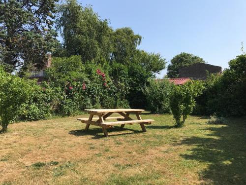 Κήπος έξω από το villa tortuga