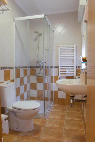 a bathroom with a shower and a toilet and a sink at Casa Rural Lagun Etxea in Pobes