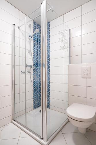 a bathroom with a shower and a toilet at S4 Resort Kouty in Loučná nad Desnou