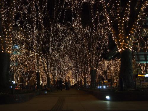 a row of trees decorated with christmas lights at night at Koyo Grand Hotel in Sendai
