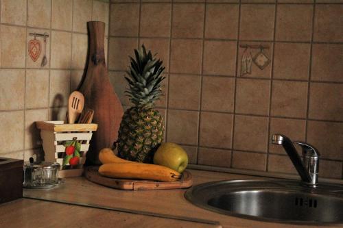 a kitchen counter with a pineapple and a sink at Apartment Stanisic in Budva