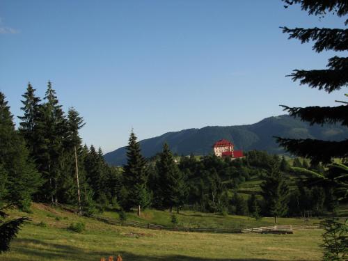 a red house on top of a hill with trees at Kamyanka in Mizhhirʼʼya
