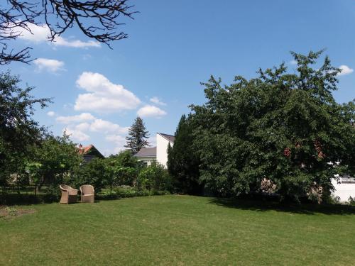 a yard with a large tree and a house at Villa Magdalena in Kutná Hora