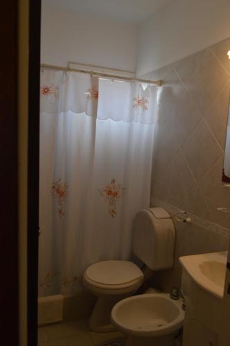 a bathroom with a toilet and a shower curtain at Tamanacos Hotel & Spa in Villa Gesell