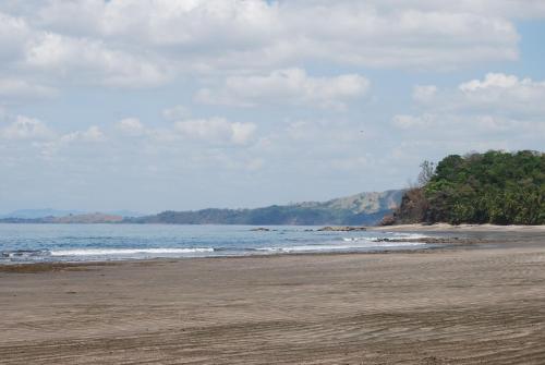 a sandy beach with trees and the ocean at El nido del tucán in Torio