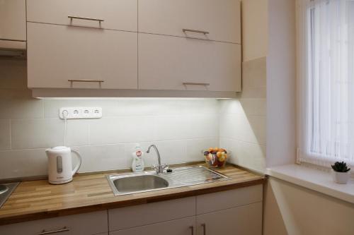 Kuchyňa alebo kuchynka v ubytovaní Aqua City Apartman