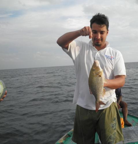a man is holding a fish in the water at Azoush Tourist Guesthouse in Fulhadhoo