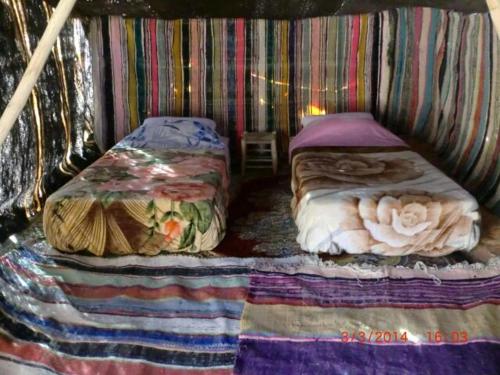 2 letti in una camera con pareti a righe di Amoudou Lodge Camp a Tissint